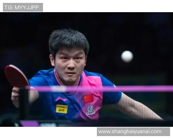 重庆乒乓球队状态引发热议球迷与专家观点大相径庭